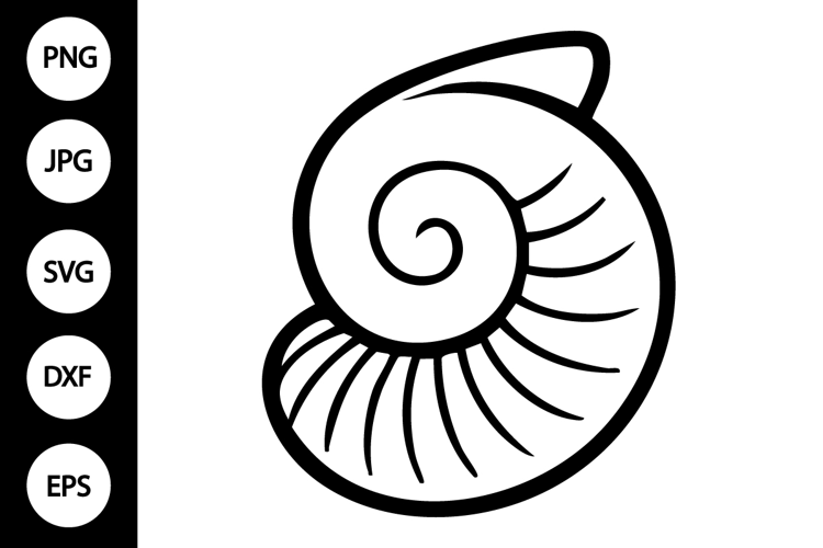 Seashell Outline SVG