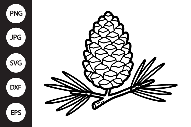 Pinecone with Leaves SVG