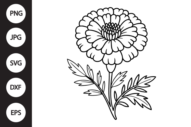 Marigold Clipart Image 5