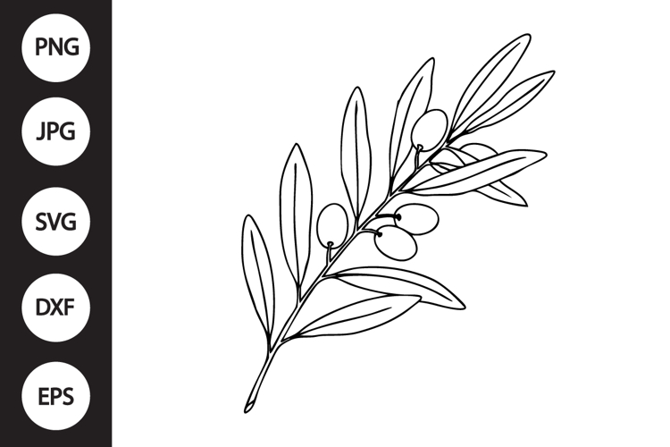 Olive Branch Clipart Image 4
