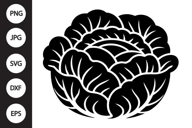 Cabbage Clipart Image 3