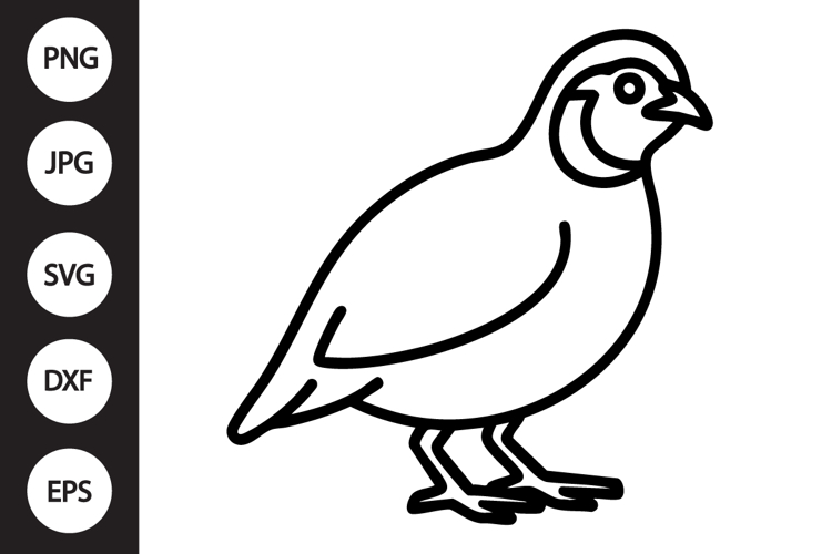 Quail Outline SVG, Coloring Page
