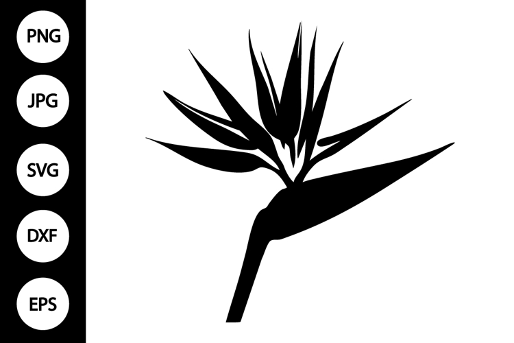 Bird Silhouettes Image 5