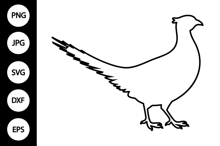 Pheasant Outline SVG, Coloring Page