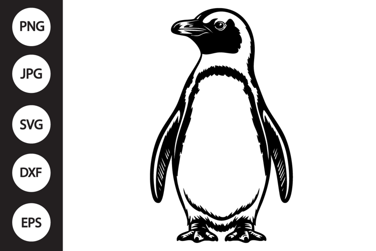 African Penguin SVG