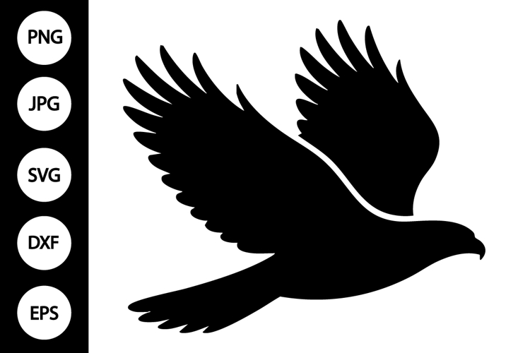 Hawk Clipart Image 19