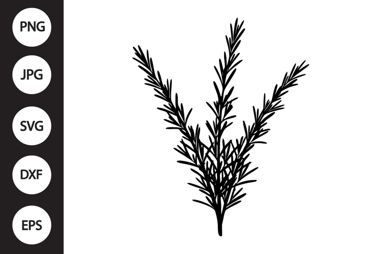Rosemary Clipart Image 2