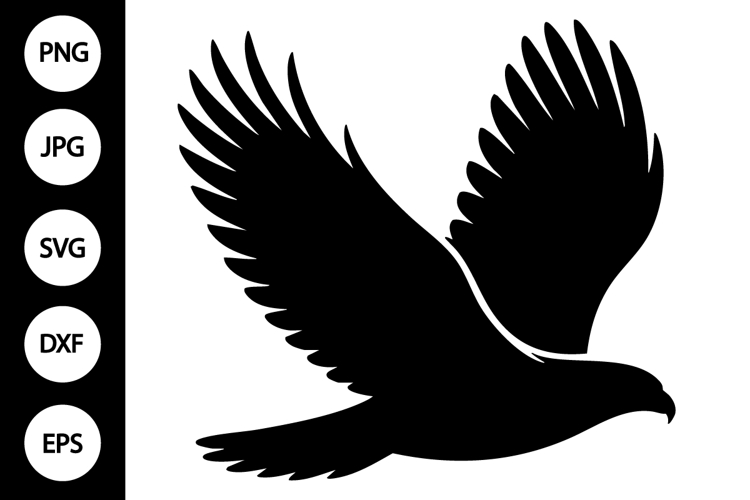 Hawk Clipart Image 10