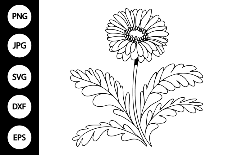 Flower Clipart Black And White Image 5