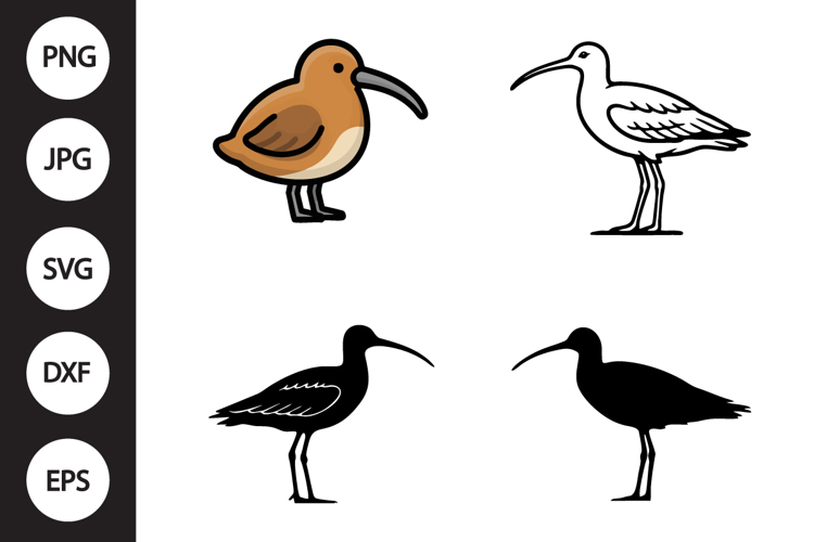 Bird Vector Image 20