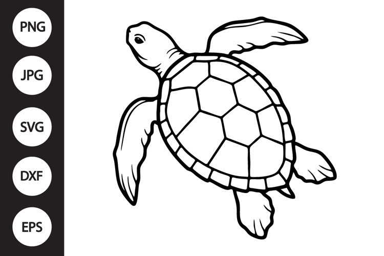 Turtle Clipart Image 16