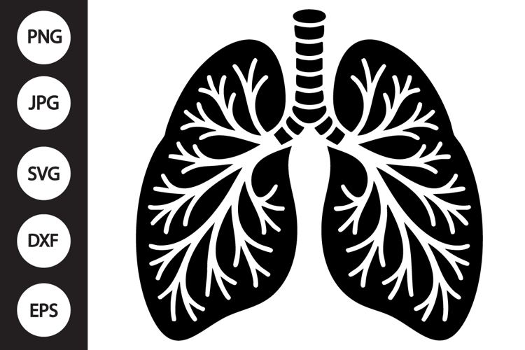 Lungs Clipart Image 3