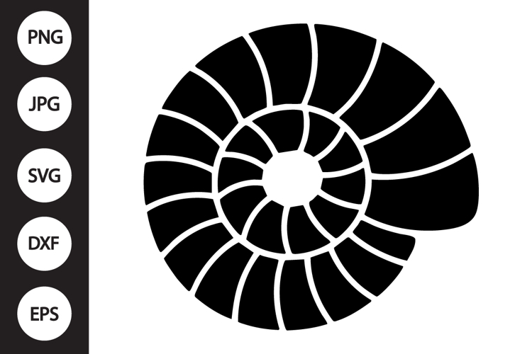 Sea Shell Clipart Image 2