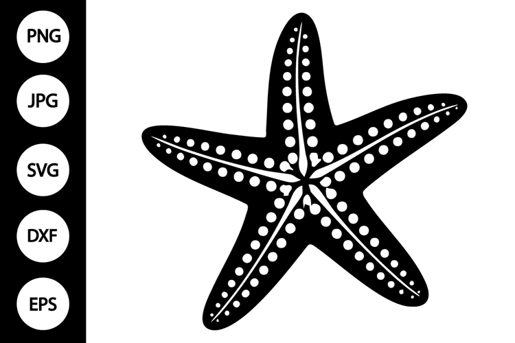 Starfish Clipart Image 20