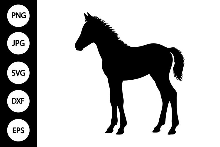 Horse Silhouette Svg Image 24