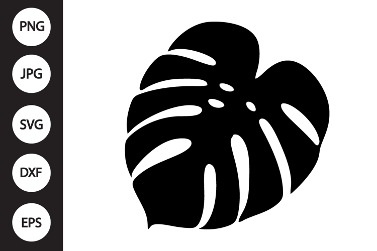 Monstera Leaf Clipart Image 3