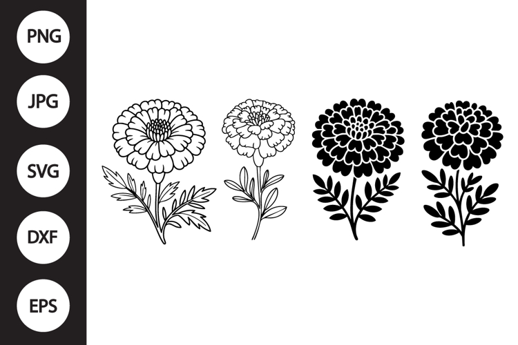 Marigold Clipart Image 2