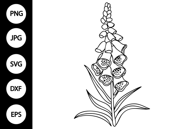 Outline Foxglove Flower SVG