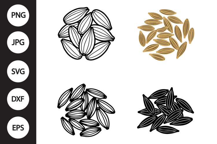 Fennel Seeds SVG, Fennel Seeds Clipart example image 1