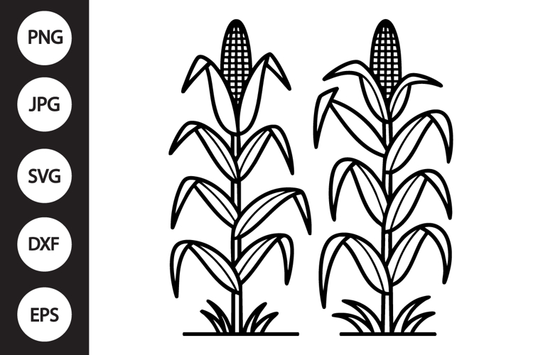 Corn Stalks SVG