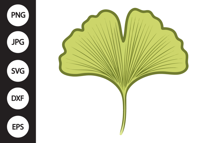 Gingko Leaf SVG