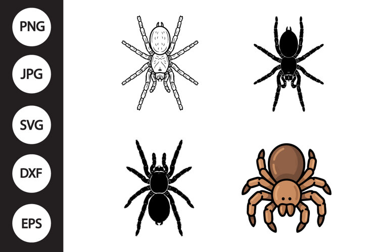 Tarantula SVG, Tarantula Clipart example image 1