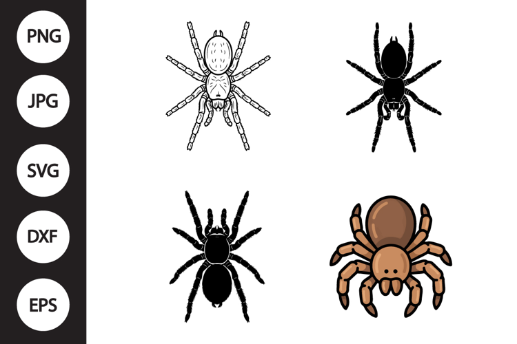 Tarantula SVG, Tarantula Clipart