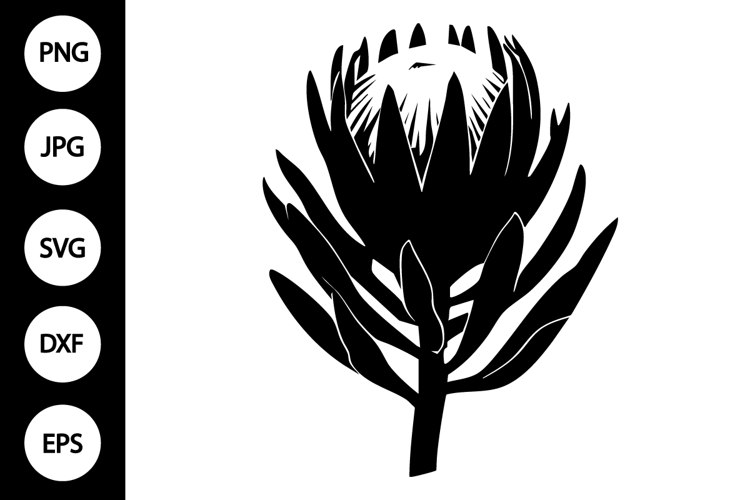 Flower Silhouette