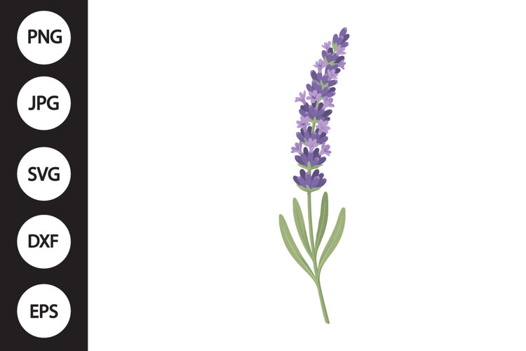 Lavender SVG example image 1