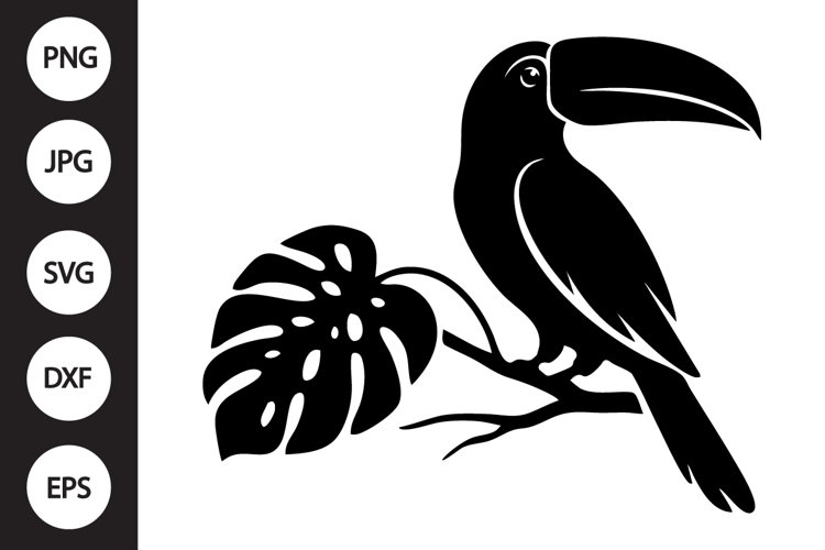 Toucan Clipart Image 10