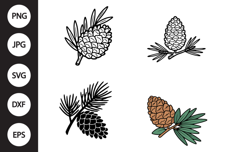 Pinecone with Leaves SVG, Pinecone with Leaves Clipart