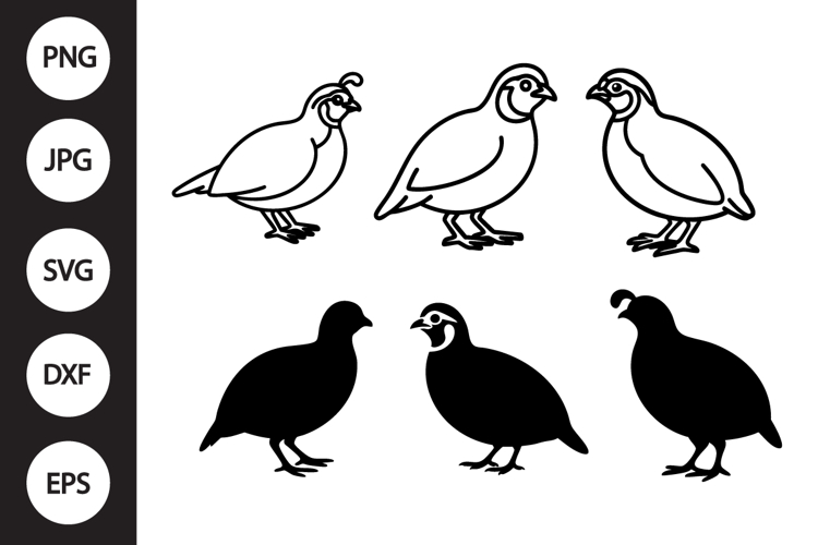 Quail SVG, Quail Clipart