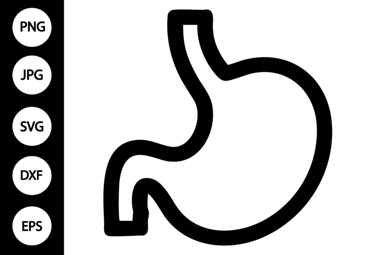 Stomach SVG