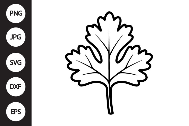 Cilantro SVG example image 1