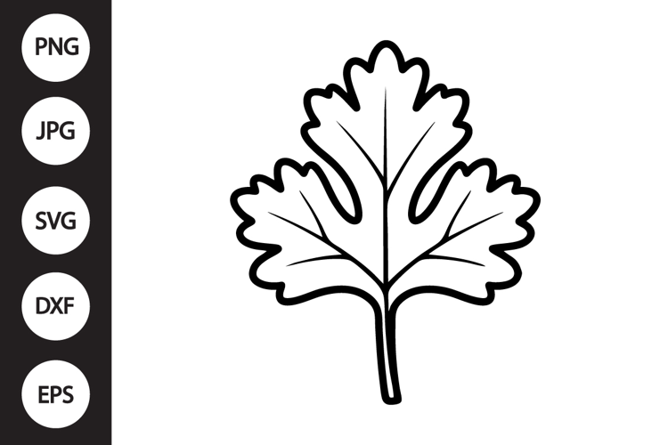 Cilantro SVG
