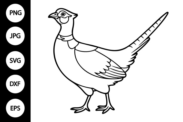 Pheasant Outline SVG, Coloring Page example image 1