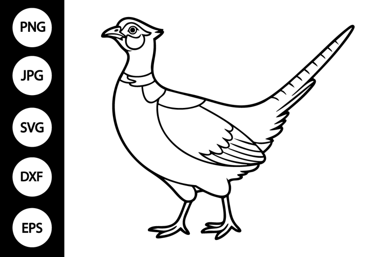 Pheasant Outline SVG, Coloring Page