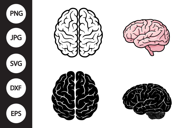 Human Brain SVG, Human Brain Clipart