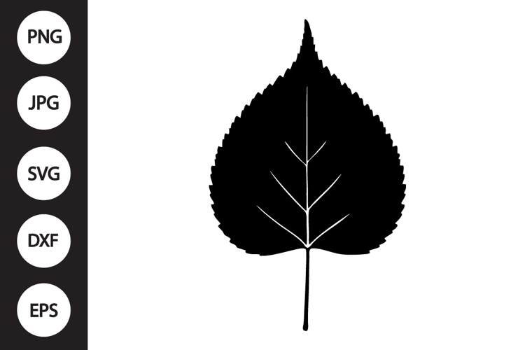Birch Leaf SVG
