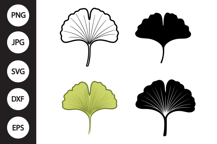 Leaf Outline Image 20