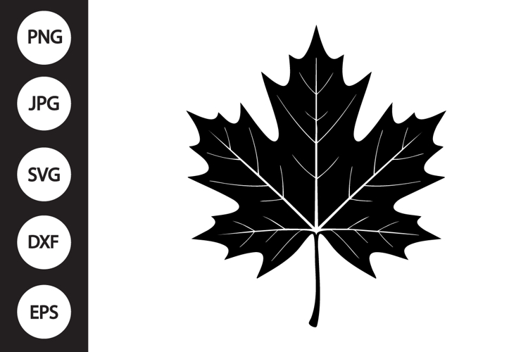 Leaf Clipart Image 12