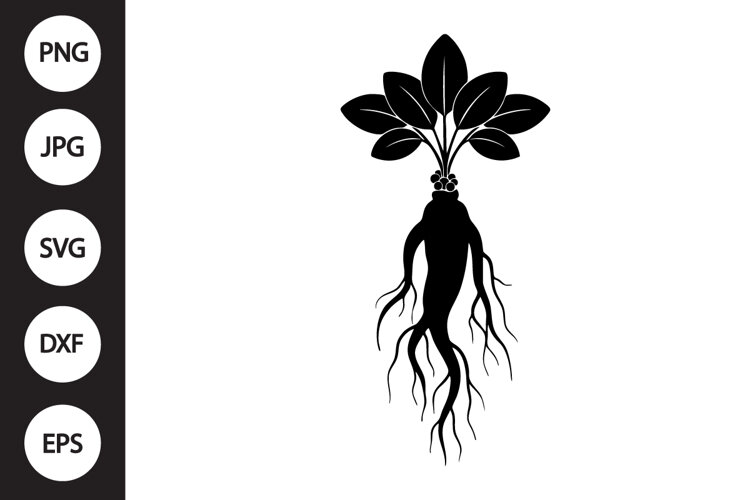 Ginseng SVG example image 1