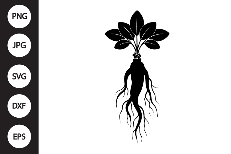 Ginseng SVG