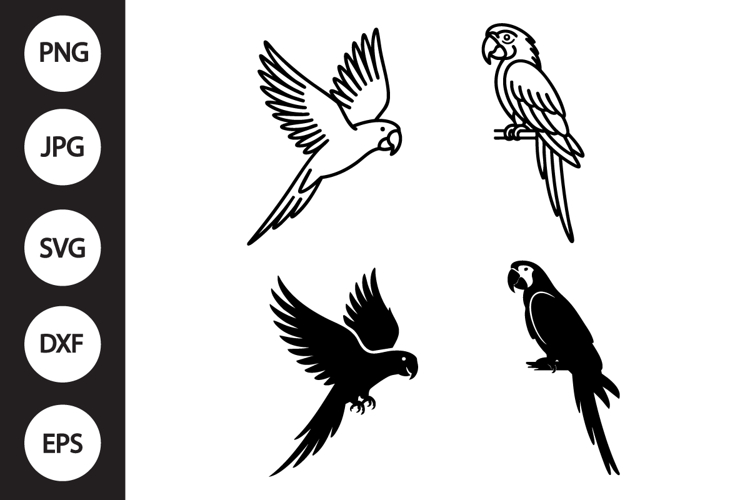 Parrot Clipart