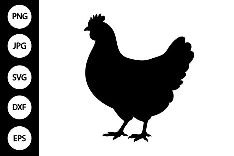 Chicken Clipart Image 14