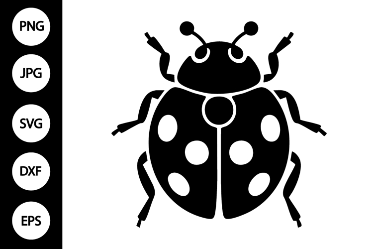 Ladybug Clipart Image 10