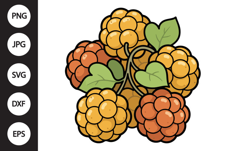 Cloudberry SVG example image 1