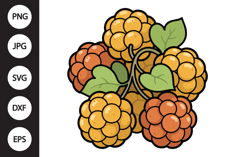 Cloudberry SVG