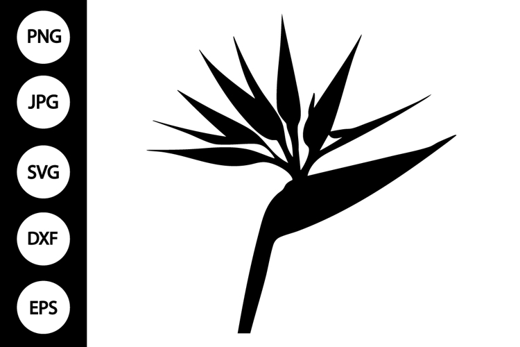 Bird Silhouettes Image 2