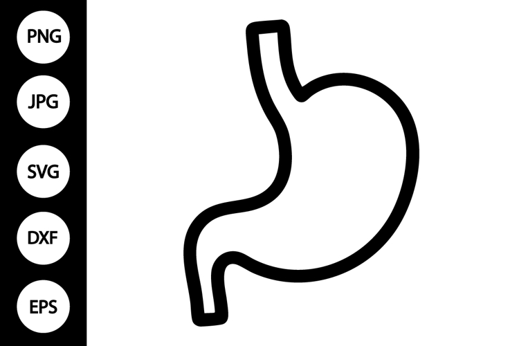 Stomach SVG